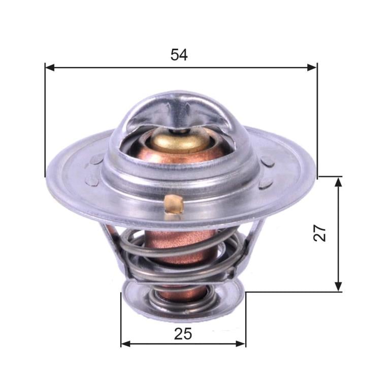 Thermostat d'eau (Calorstat) GATES TH22782G1