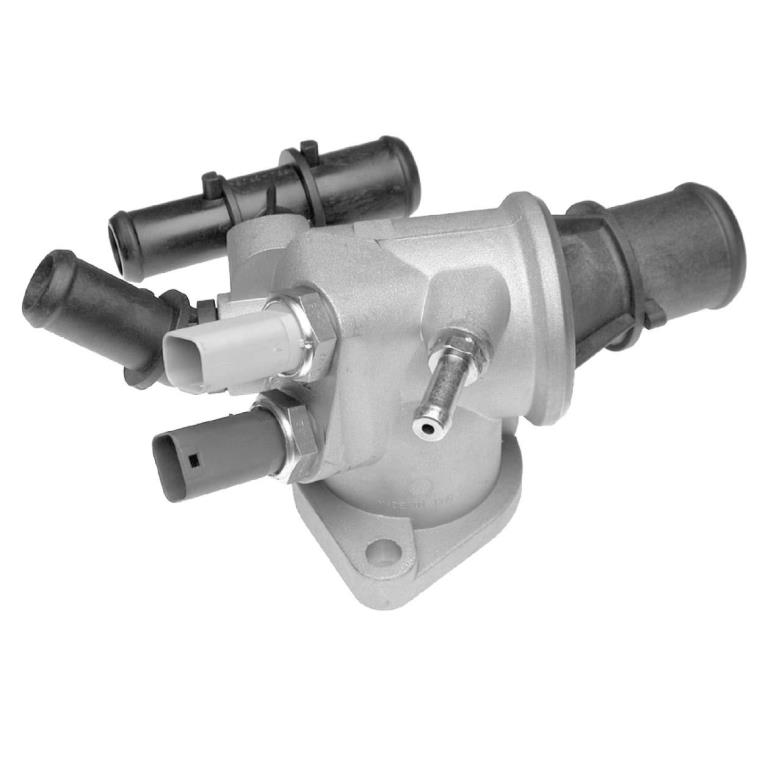 Thermostat d'eau (Calorstat) GATES TH25688G1