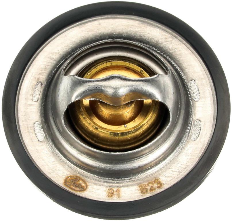 Thermostat d'eau (Calorstat) GATES TH28592G1