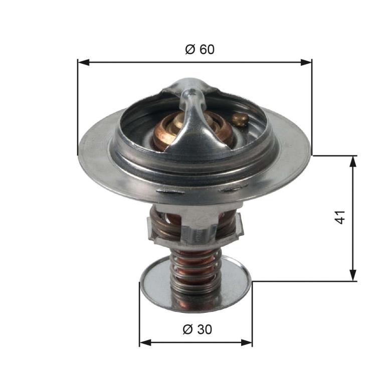 Thermostat d'eau (Calorstat) GATES TH34882G1