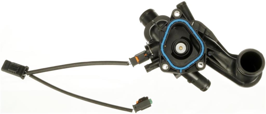 Thermostat d'eau (Calorstat) GATES TH531105G2