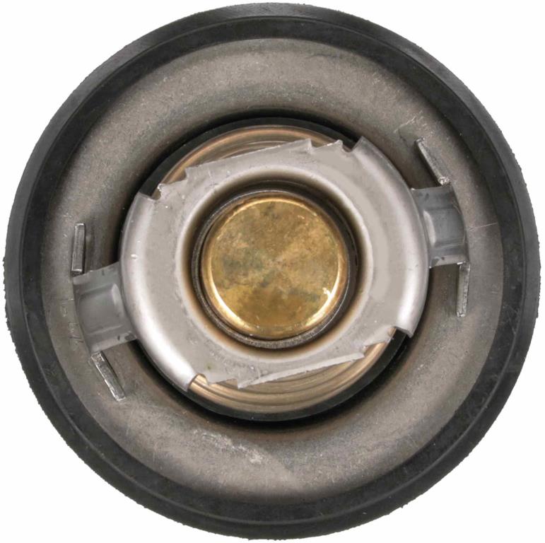 Thermostat d'eau (Calorstat) GATES TH64978G1