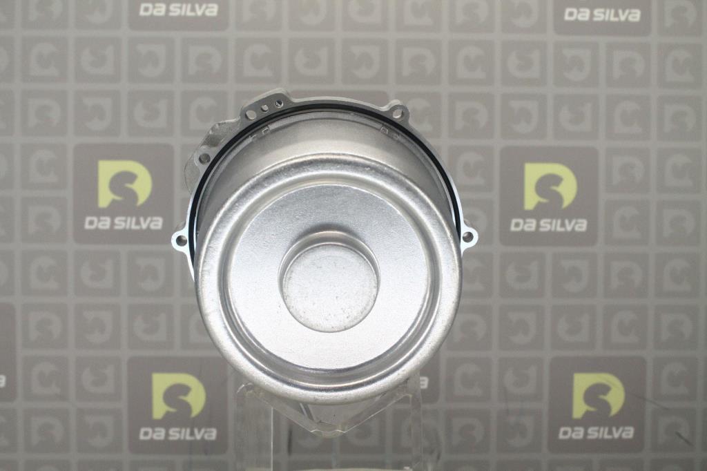 Alternateur DA SILVA S.A.S. 010530