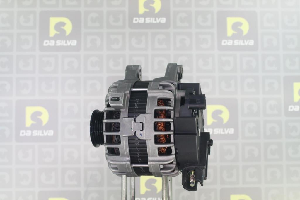 Alternateur DA SILVA S.A.S. 010995