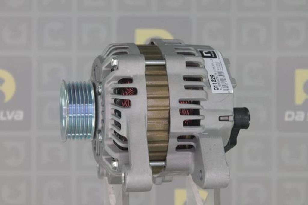 Alternateur DA SILVA S.A.S. 011229