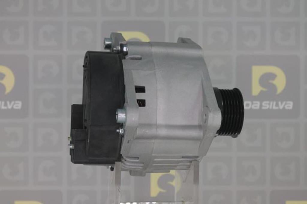 Alternateur DA SILVA S.A.S. 011363