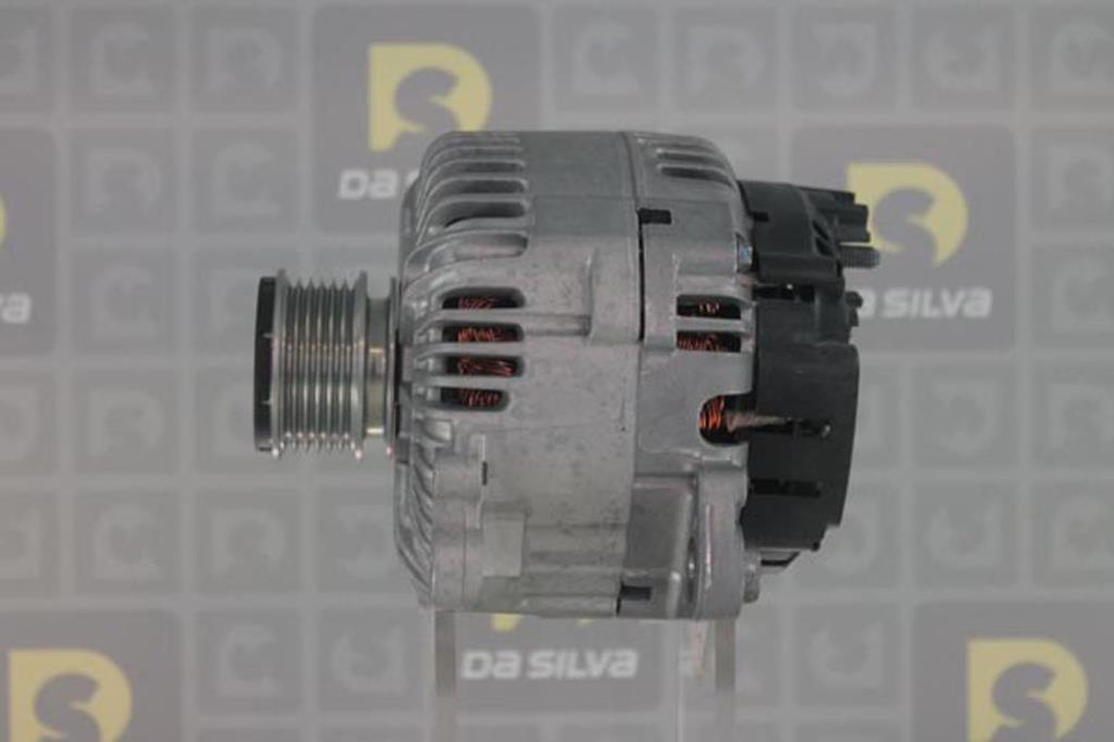 Alternateur DA SILVA S.A.S. 011814