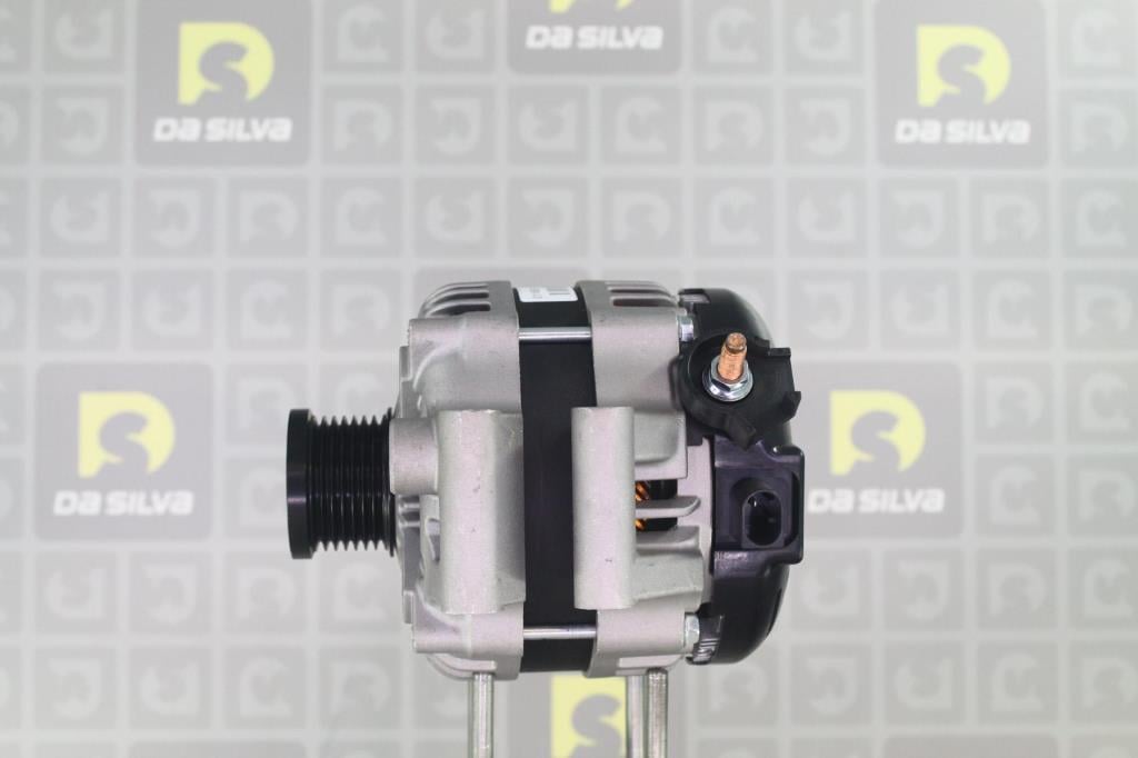 Alternateur DA SILVA S.A.S. 011829