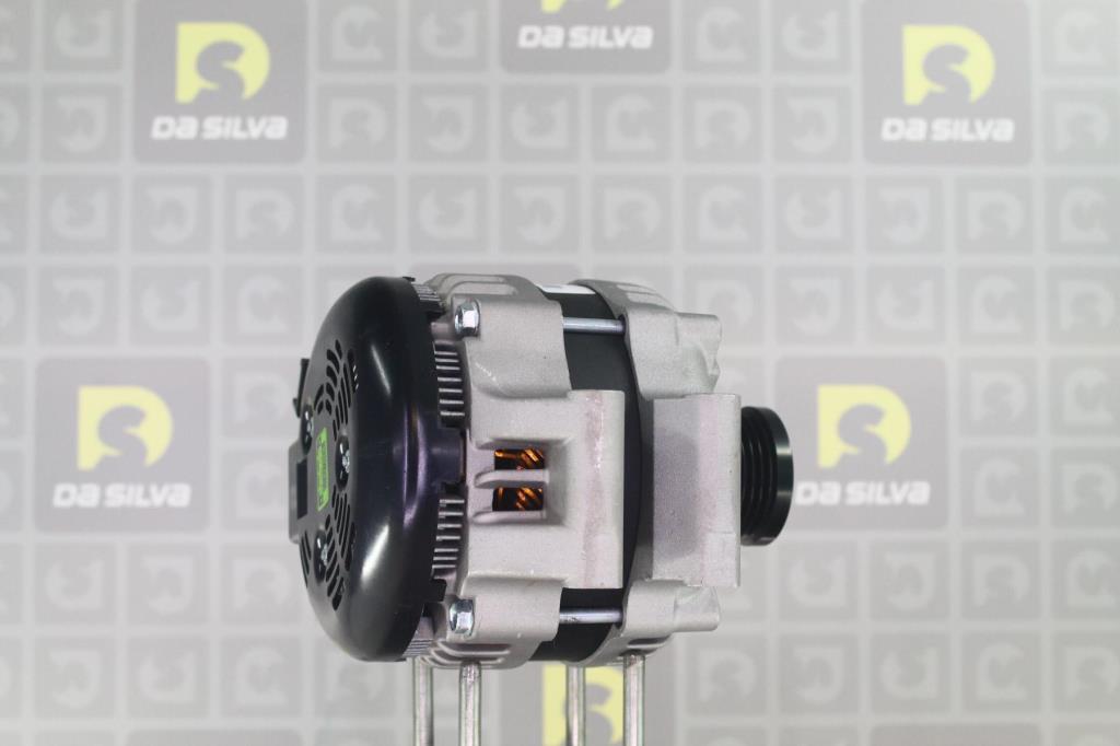Alternateur DA SILVA S.A.S. 011829