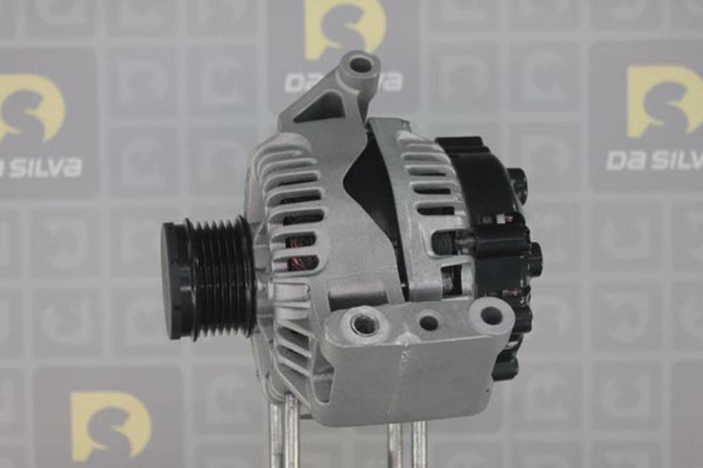 Alternateur DA SILVA S.A.S. 011848