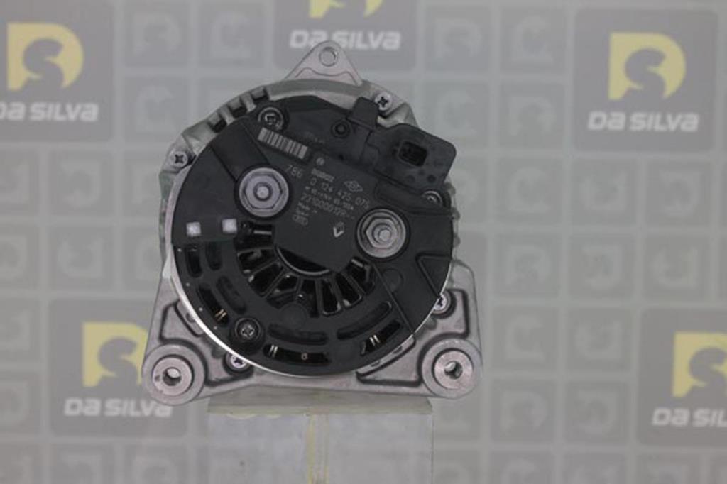 Alternateur DA SILVA S.A.S. 011873