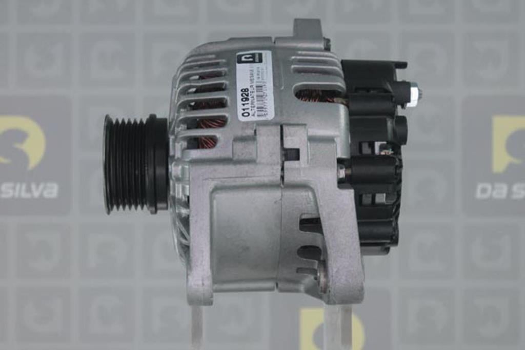 Alternateur DA SILVA S.A.S. 011928