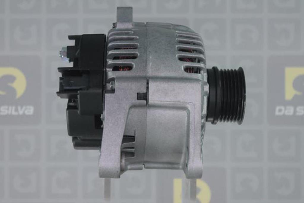 Alternateur DA SILVA S.A.S. 011928