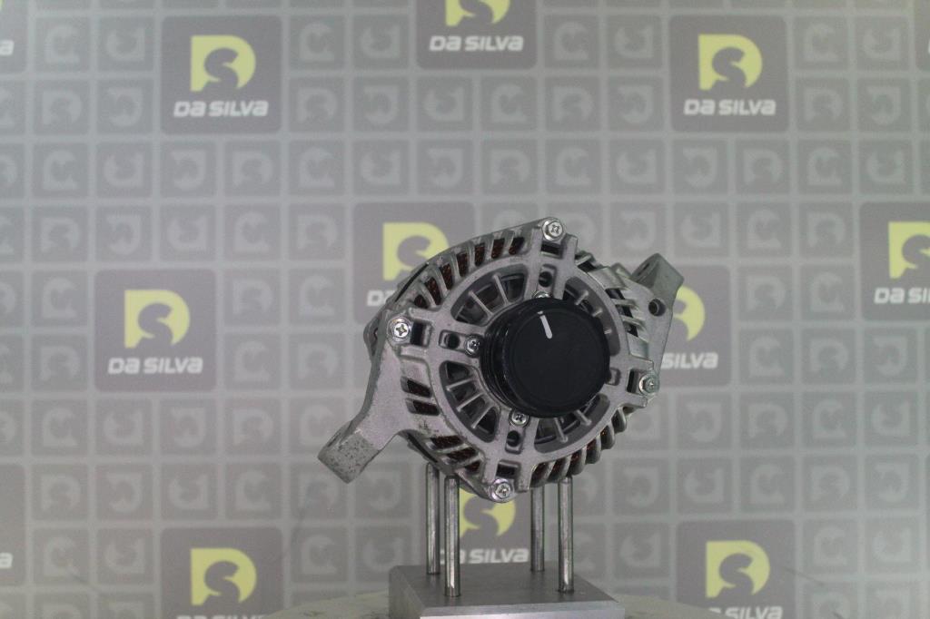 Alternateur DA SILVA S.A.S. 012662