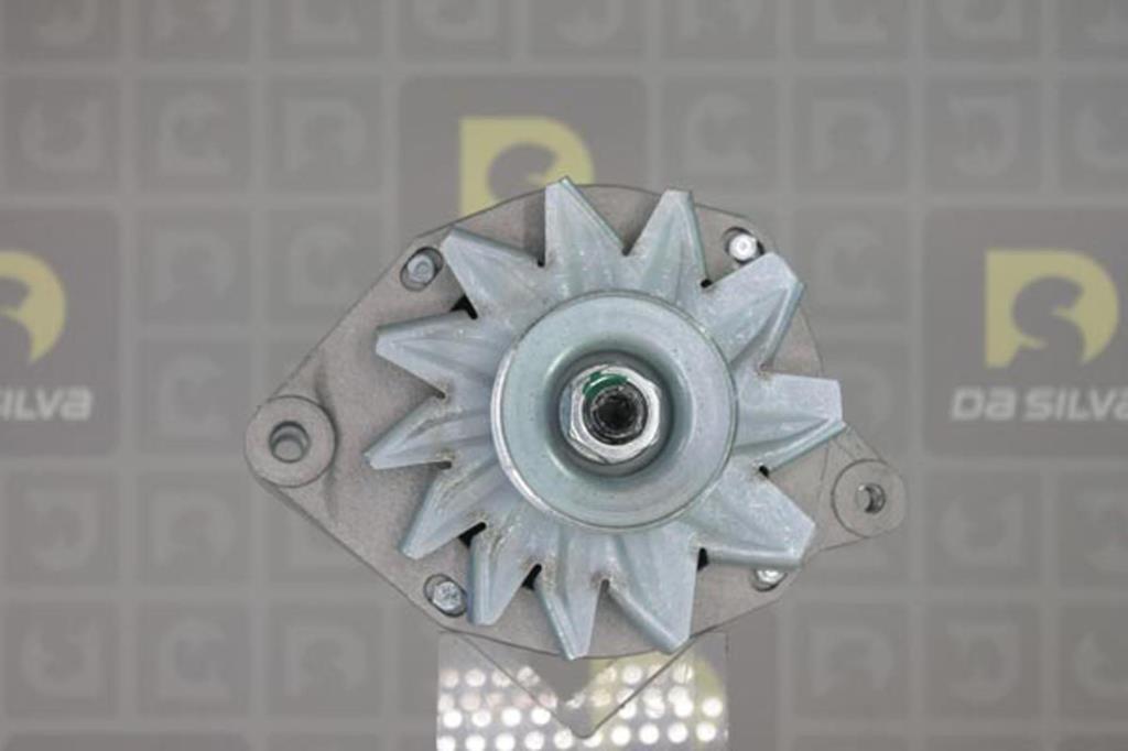 Alternateur DA SILVA S.A.S. 013459