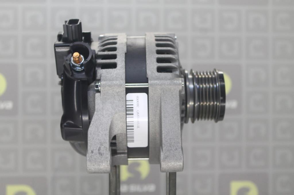 Alternateur DA SILVA S.A.S. 030092
