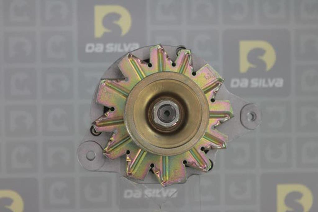 Alternateur DA SILVA S.A.S. 030100