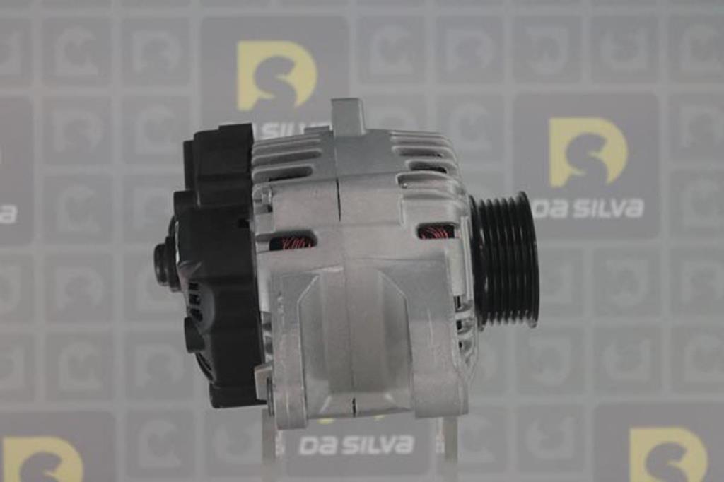 Alternateur DA SILVA S.A.S. 030551