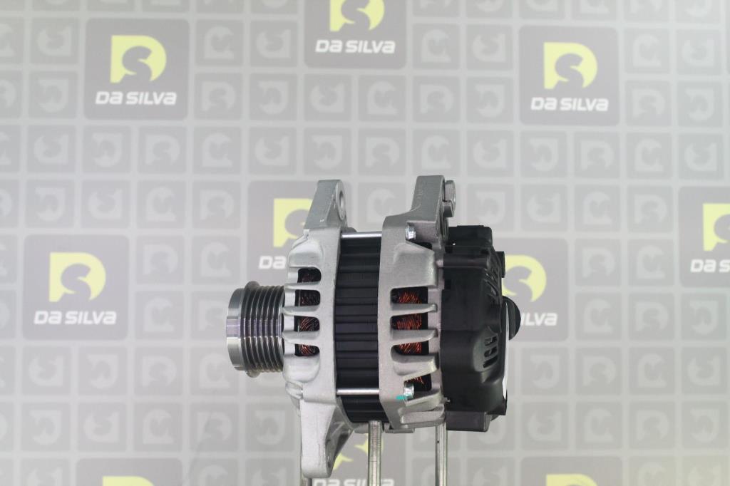 Alternateur DA SILVA S.A.S. 030613