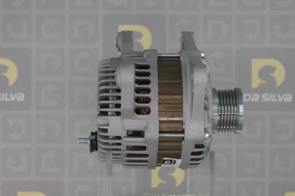 Alternateur DA SILVA S.A.S. 030835