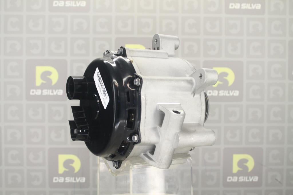 Alternateur DA SILVA S.A.S. 031071