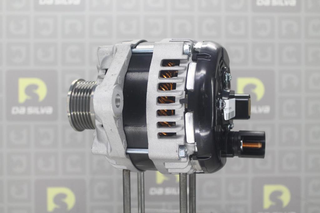 Alternateur DA SILVA S.A.S. 031172