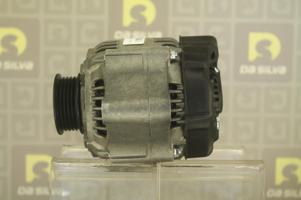 Alternateur DA SILVA S.A.S. 031302