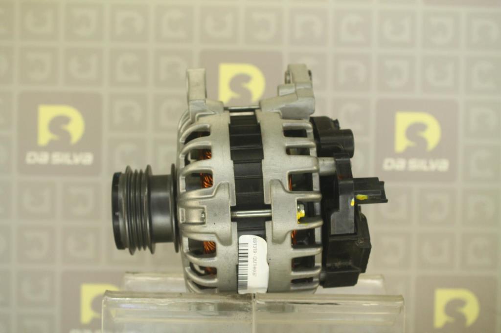 Alternateur DA SILVA S.A.S. 031319