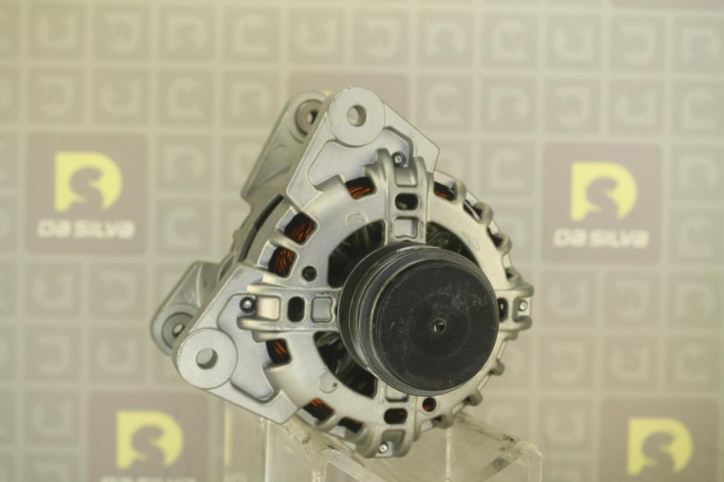 Alternateur DA SILVA S.A.S. 031319