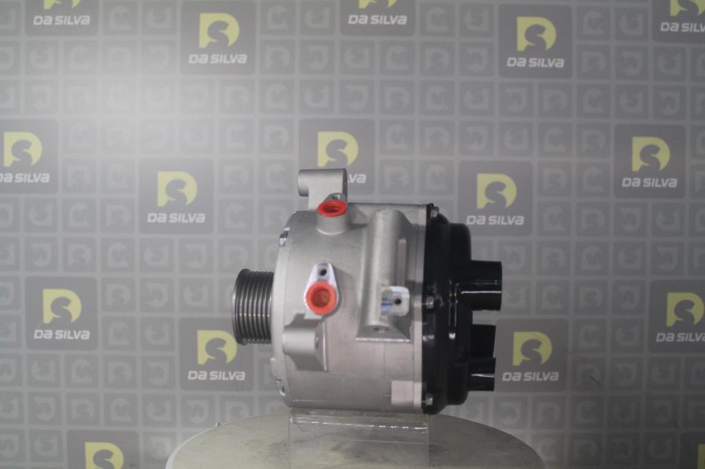 Alternateur DA SILVA S.A.S. 031396