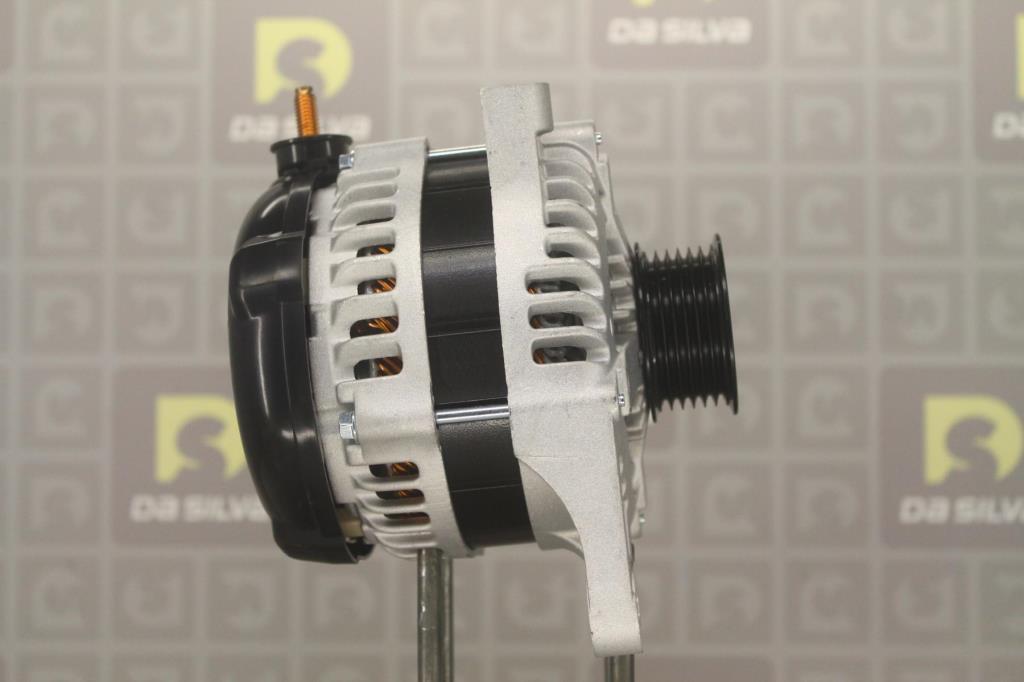 Alternateur DA SILVA S.A.S. 031560
