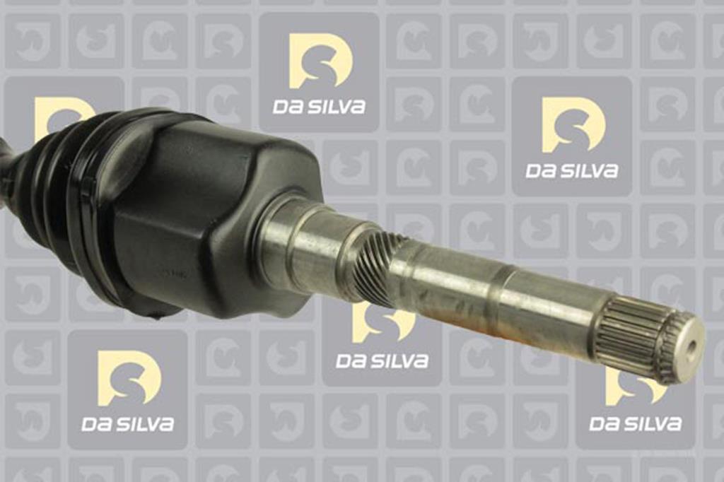Cardã DA SILVA S.A.S. 10030TBIS