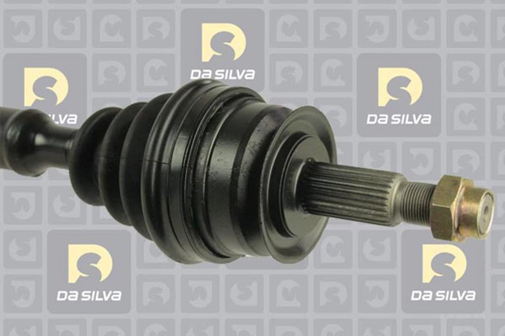 Cardã DA SILVA S.A.S. 10030TBIS