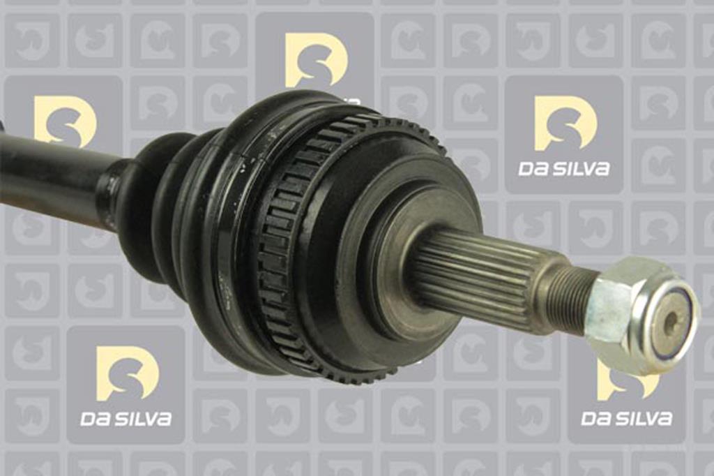 Cardan DA SILVA S.A.S. 10031AT