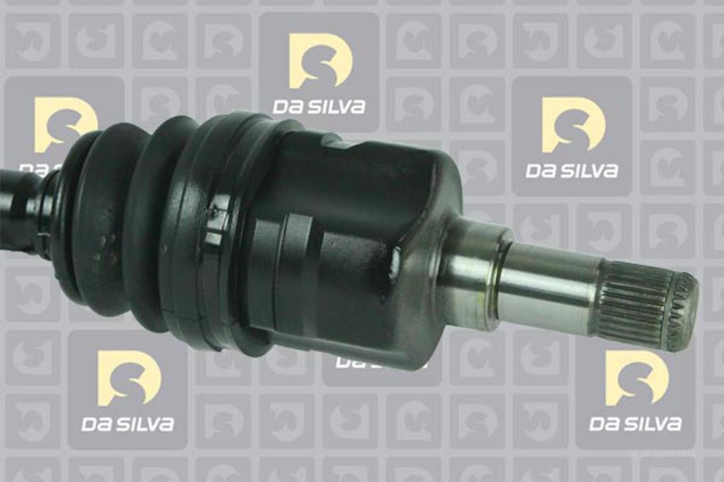 Cardan DA SILVA S.A.S. 10035AT