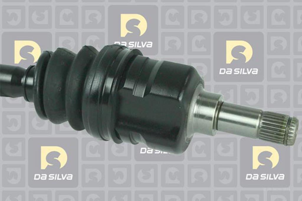 Cardã DA SILVA S.A.S. 10035T