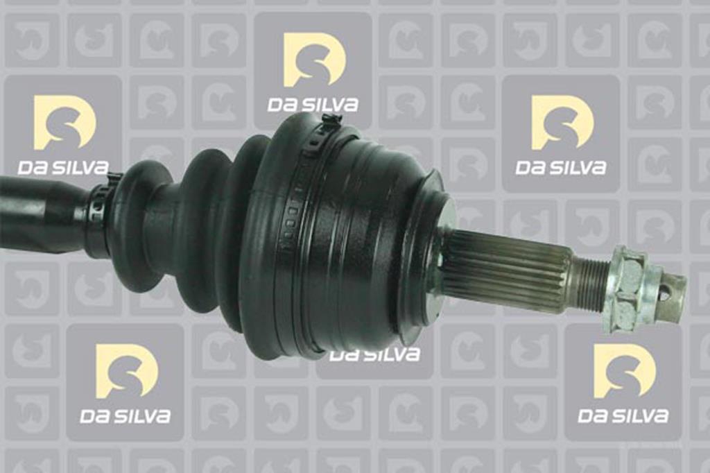 Cardã DA SILVA S.A.S. 10035T