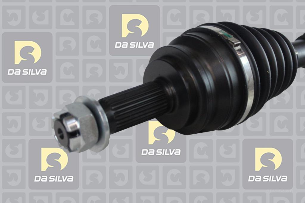 Cardã DA SILVA S.A.S. 10069T