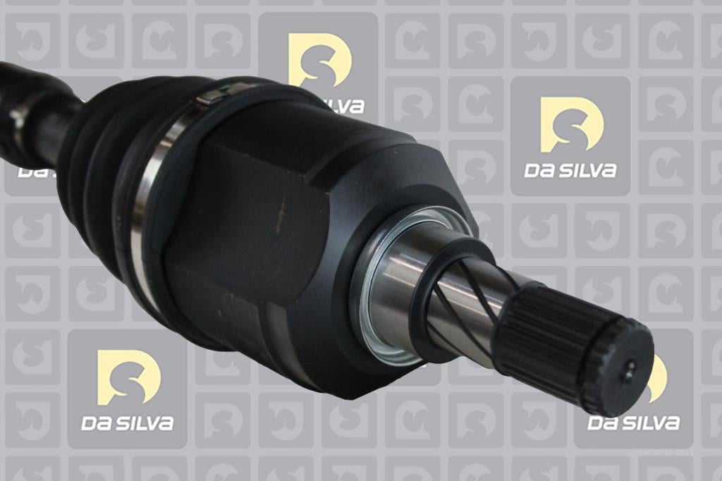 Cardã DA SILVA S.A.S. 10069T