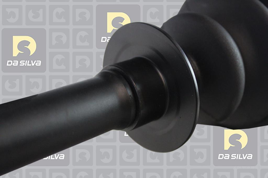 Cardan DA SILVA S.A.S. 10080T