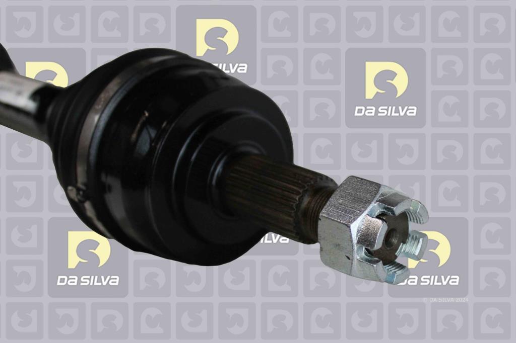Cardan DA SILVA S.A.S. 10109T