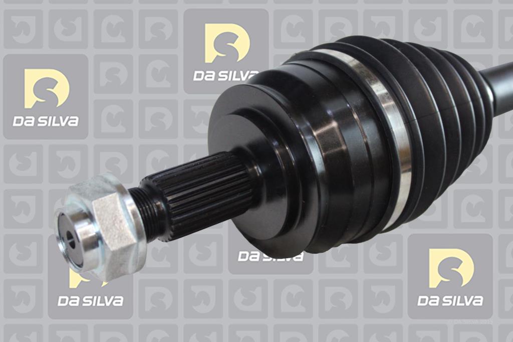 Cardã DA SILVA S.A.S. 10110T