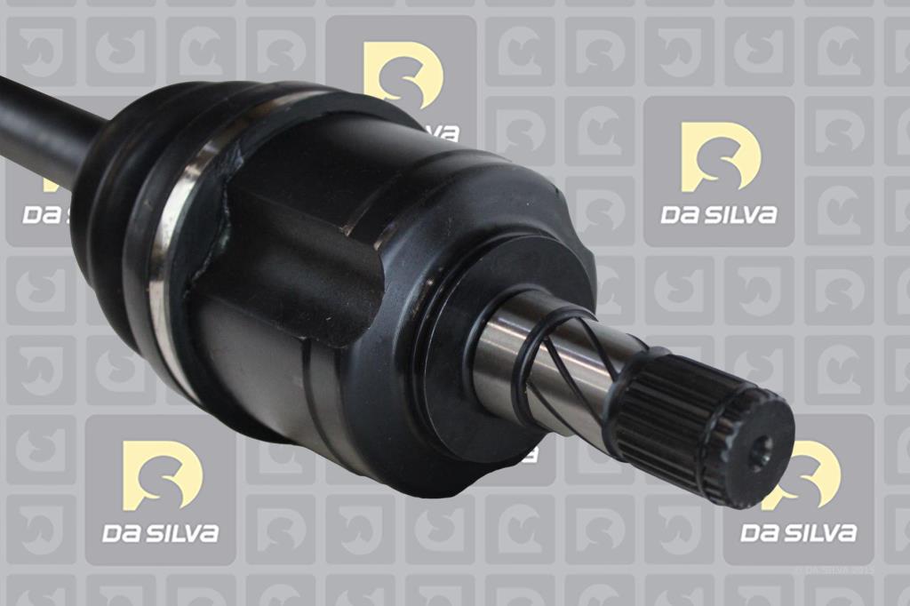 Cardã DA SILVA S.A.S. 10110T