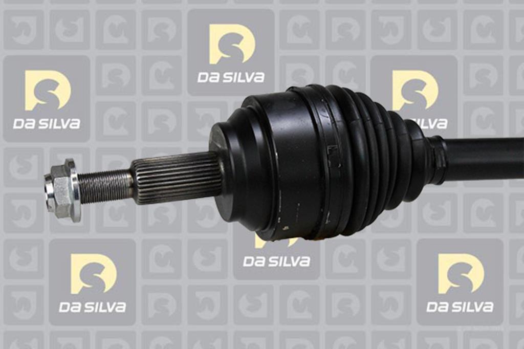 Cardan DA SILVA S.A.S. 10111T