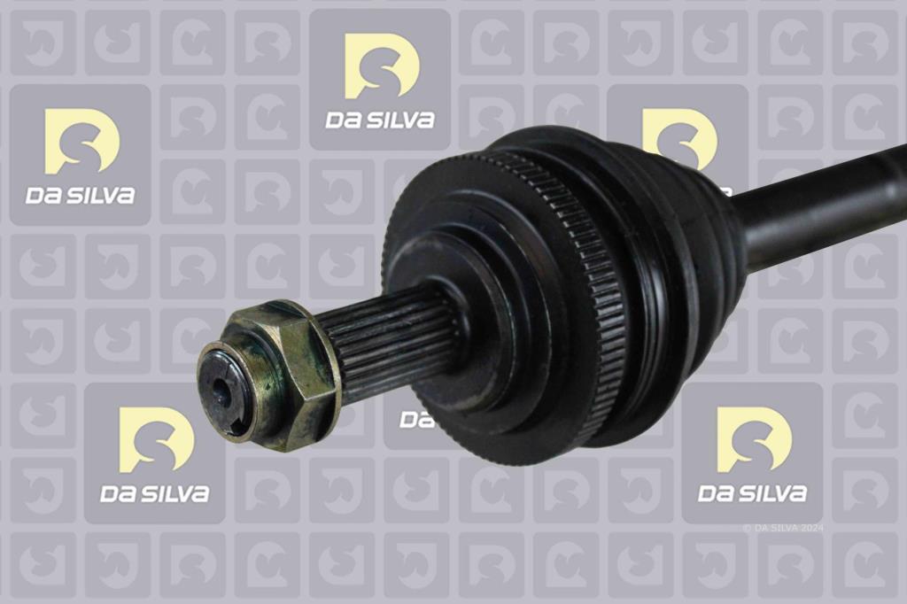 Cardan DA SILVA S.A.S. 1113BT