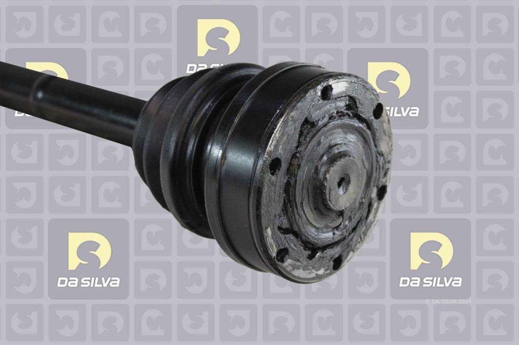 Cardan DA SILVA S.A.S. 1113BT