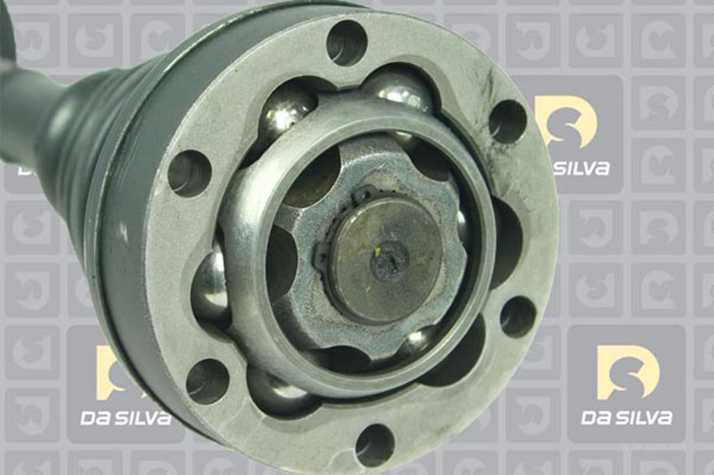 Cardã DA SILVA S.A.S. 1116AT