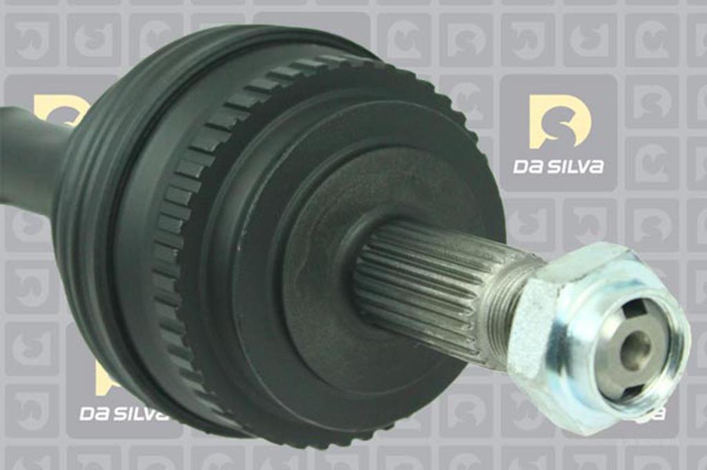 Cardã DA SILVA S.A.S. 1116AT