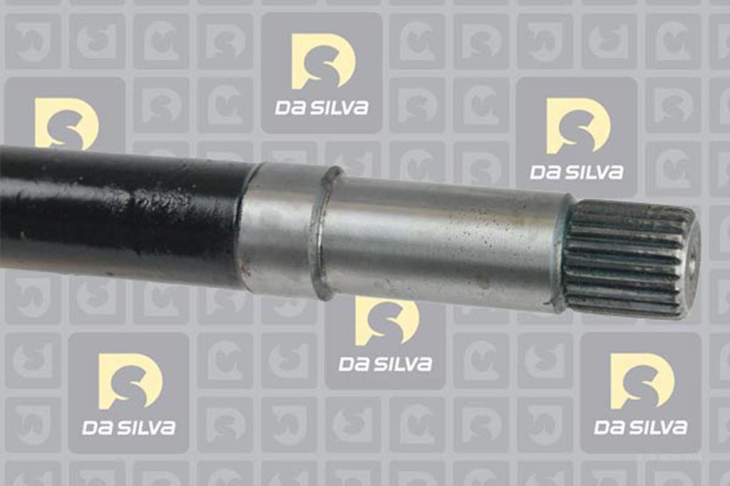 Cardã DA SILVA S.A.S. 1138AT