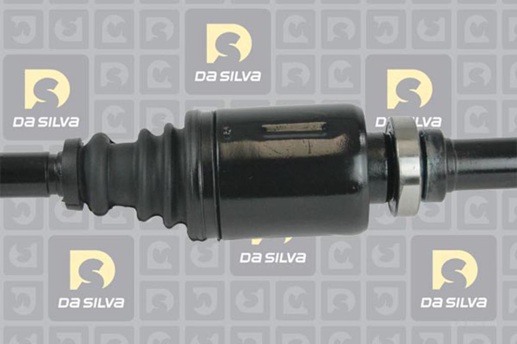 Cardã DA SILVA S.A.S. 1138AT
